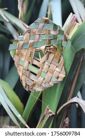 Flax Weaving In New Zealand