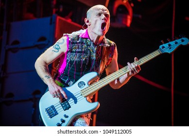 Flea from Red Hot Chili Peppers performs in concert at Rock im Park festival on June 5, 2016 in Nuremberg, Germany