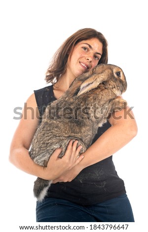 Flemish Giant rabbit and woman in front of white background