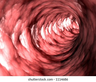 fleshy tunnel - could be a vein or stomach