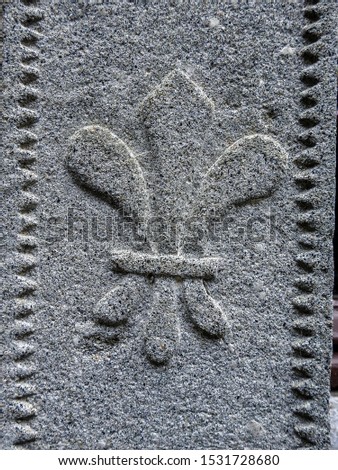 Fleur-de-lis (fleur-de-lys) stylized lily and decorative motif used in French heraldry carved on gray stone and 17th century architectural element in Lourdes castle, Hautes-Pyrenees, South France