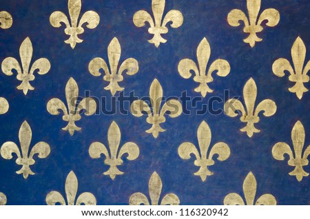 Fleur-de-lis Pattern painted on a wall in Palazzo Vecchio - a museum in Florence, Italy. It is one of the oldest and most famous art museums of the Western world.