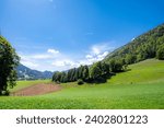 Fleurier Neuchatel Landscape with Green Grass and Trees Blue Sky and Clouds