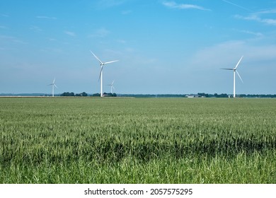 Flevo polder, the netherlands, june 28, 2021, Typical dutch landscape with grain field, farmland, farms and windmills or windturbines in the background. Growing protest against windturbine,green heart