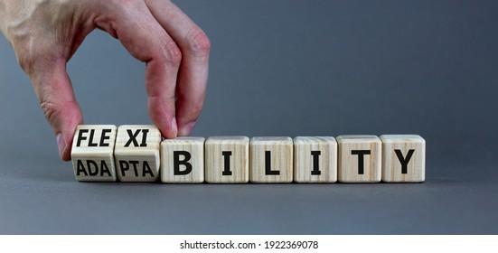 Flexibility and adaptability symbol. Businessman turns wooden cubes and changes words 'adaptability' to 'flexibility'. Grey background, copy space. Business, flexibility and adaptability concept.
