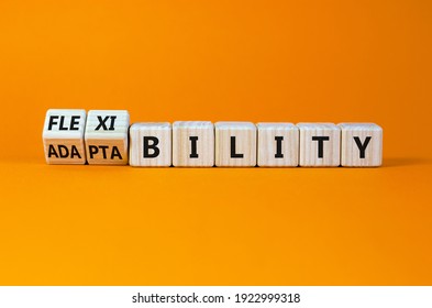 Flexibility and adaptability symbol. Turned wooden cubes and changed words 'adaptability' to 'flexibility'. Beautiful orange background, copy space. Business, flexibility and adaptability concept. - Shutterstock ID 1922999318