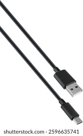 Flexible and durable cable with Type-C and USB connectors.