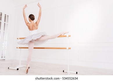 Flexible Female Using Ballet Bar