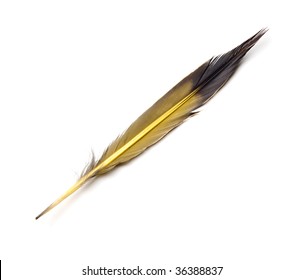 472 Flicker tails Images, Stock Photos & Vectors | Shutterstock