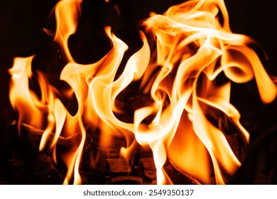 Flickering flames create a mesmerizing display of warmth and light, enhancing the ambiance of the night gathering.