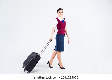 flight attendant roller bags