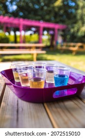 Flight Of Craft Ciders On A Beautiful Outdoor Patio. Small Talk Vineyards, Niagara Canada