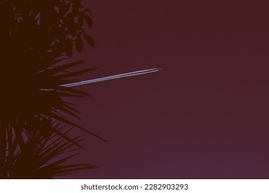 flight in the evening sky