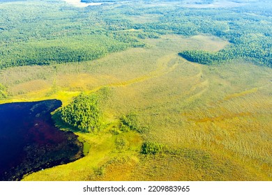 Flight Over The Forest, Swamp And Lake. View From Above