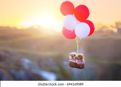 Flight Of Puppies In A Hot Air Balloon. Beautiful Dawn In The Mountains. Pomeranians In The Basket.