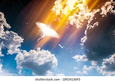 Flight of soul  , Angel in Heaven of Paradise