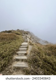 Flight of steps in the mountain, the path less travelled