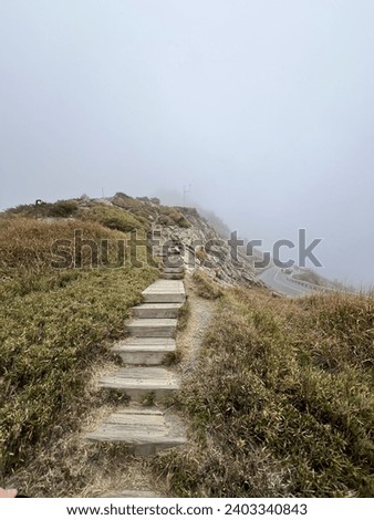 Flight of steps in the mountain, the path less travelled