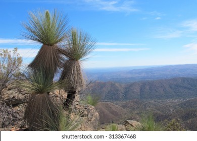 Flinders Ranges, South Australia