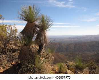 Flinders Ranges, South Australia
