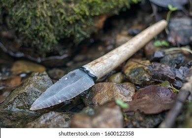 Flint Knife - Stone Age Tool (leaf Blade In Deer Antler) In Nature