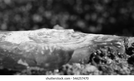 flint wall