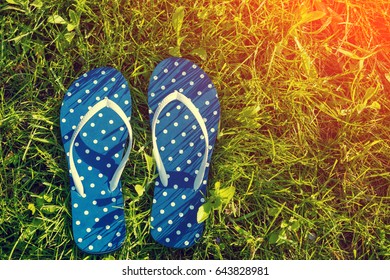  Flip Flop Sandals On A Grass. Summertime