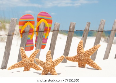flip flops hanging on fence by starfish