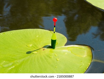 Float for fishing in the lake among the leaves of water lilies. Evening fishing on the river. Fishing tackle with a float
