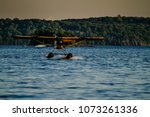 Float plane landing in water