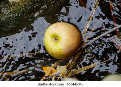 Floating apple