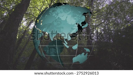 Floating digital translucent globe overlaying forest canopy, showing teal continents and trunks. Orb, outdoor, minimalist, geospatial, gridlines, woodland, serene