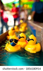 Floating Ducks At A Carnival In The Summer Sun