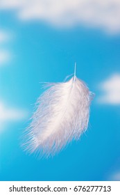 Floating Feather