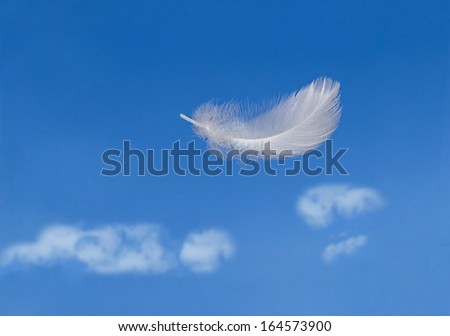 Floating feather