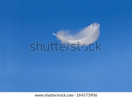 Floating feather