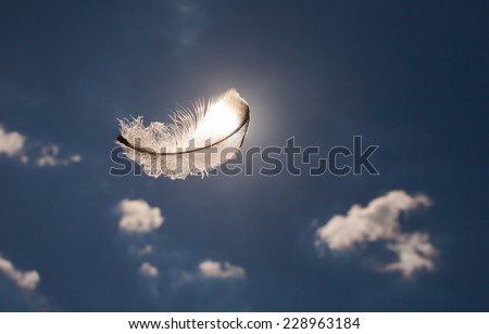 Floating feather