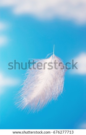 Floating Feather