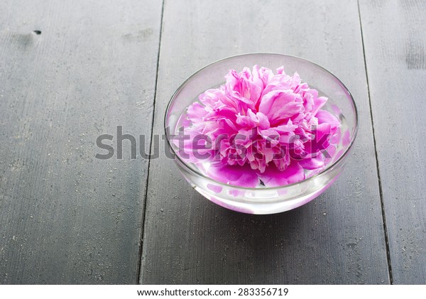 Floating Flower Aroma Bowl On Black Stock Photo Edit Now 283356719