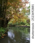 The floating gardens of Les Hortillonnages, Amiens, France which consist of small cultivated islands located in the marshy terrain of bed of the River Somme. Only accessible by boat or footbridge.