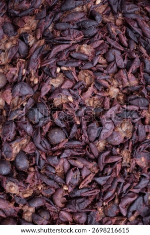 Floating grape skins and solids. Wine fermentation close up. Punching down the cap for healthy fermentation.