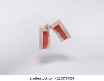 Floating Human Jaw Model On White Stock Photo 2155784059 | Shutterstock