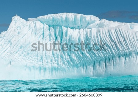 Floating Iceberg with Compressed Ripple Structured Ice in Antarctica