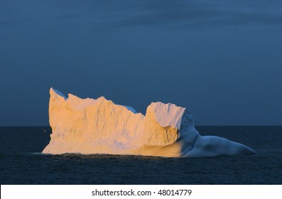 Floating Iceberg At Drake Passage