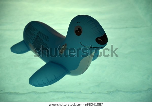 inflatable seal pool toy