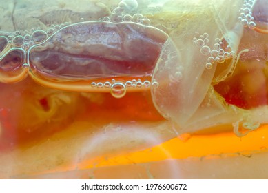 Floating Kombucha Scoby Close Up