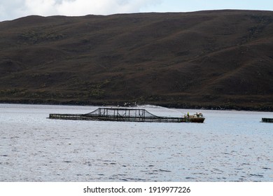 The Floating Nets Of A Salmon Farm In Tasmania