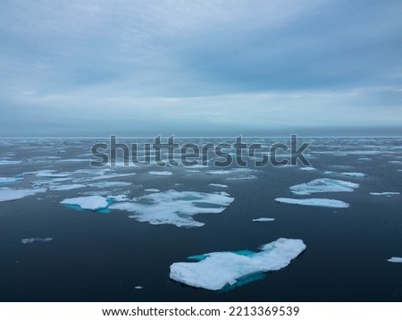 Floating Pack Ice in the arctic ocean. The snow covered blue glacial ice is an unspoilt wilderness but is fast melting due to climate change. Nordaustlandet, Svalbard, Norway. Place for text.