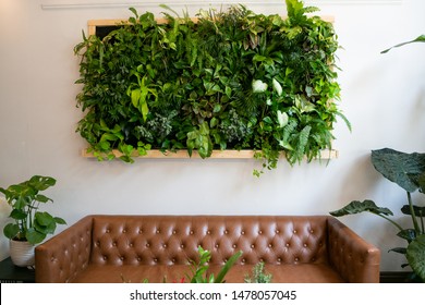 Floating plants on wall over brown leather couch, vertical garden indoors - Powered by Shutterstock