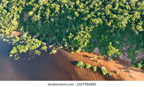 Floating restaurants of Amazon River at Amazon Forest. Manaus Brazil. Nature wild life landscape. Green background. Forest trees at Amazonas state. Tourism attraction. Travel destination.